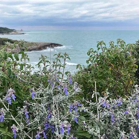 Apartamento Casa Maremonti - Gargano Vico Del Gargano